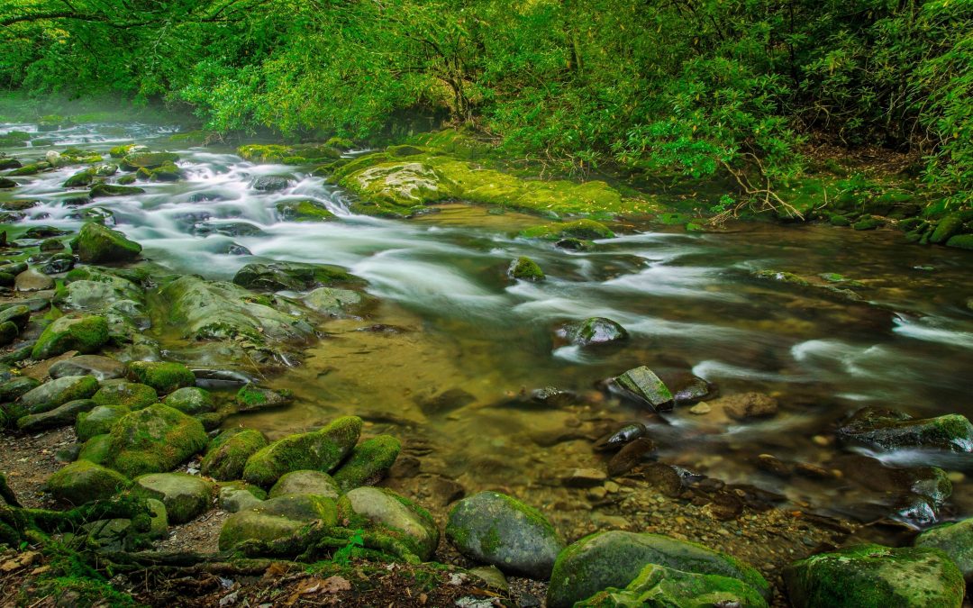 Contre la règle de l'eau potable - Ce que les gens disent