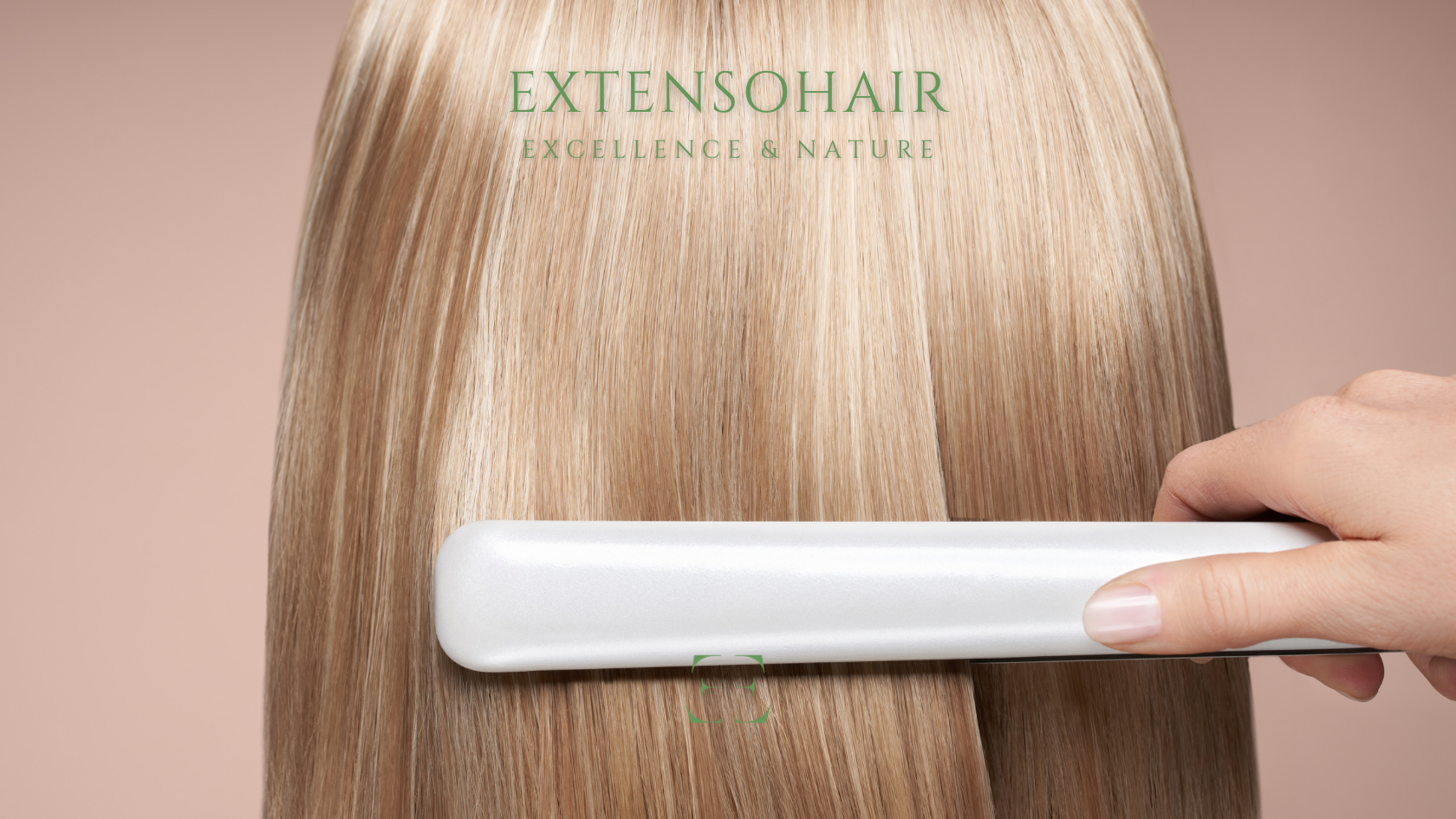 Le traitement Alpha Tanin