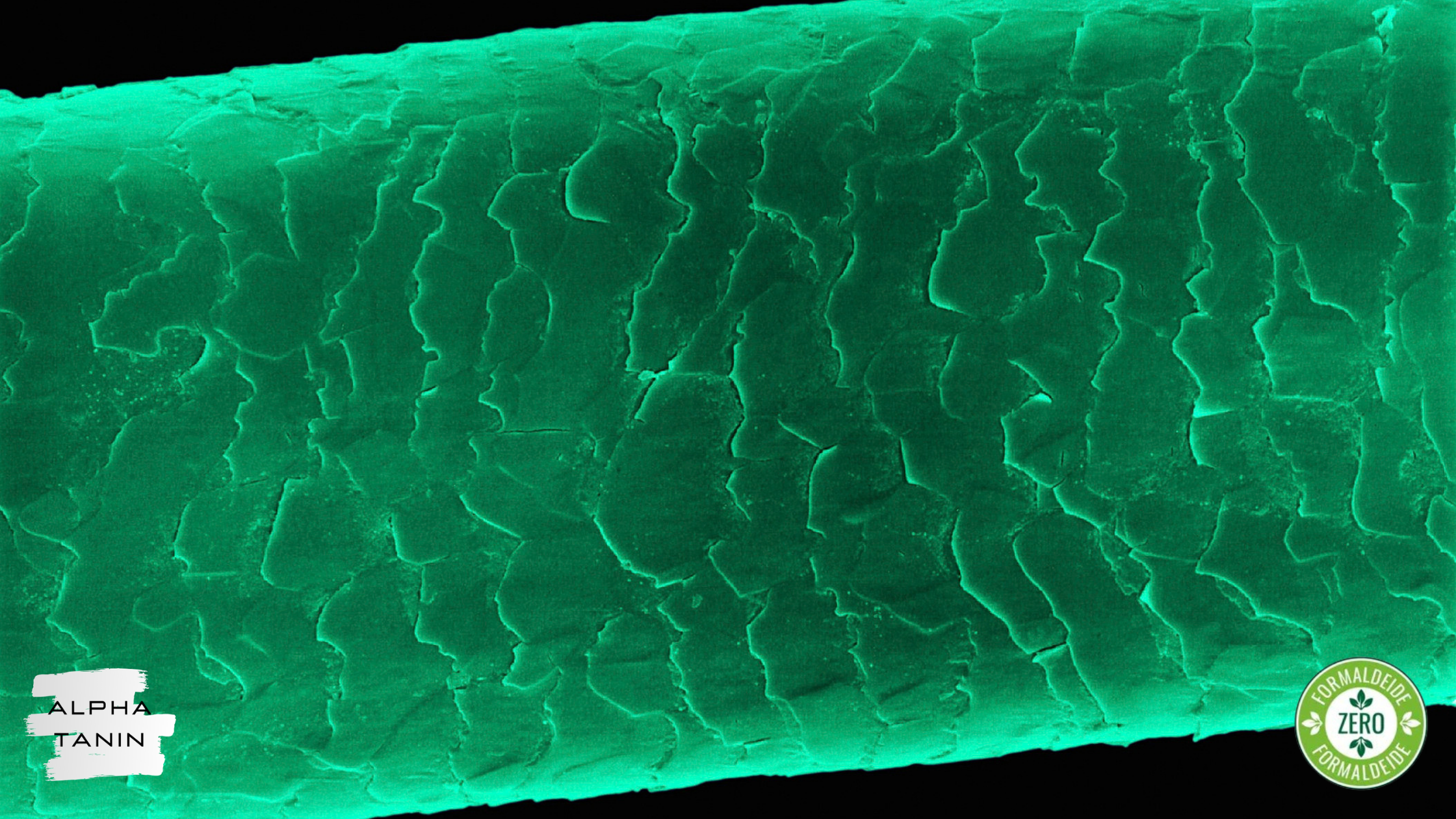 Lissage au tanin, qu'est-ce que c'est et combien de temps dure-t-il ?
