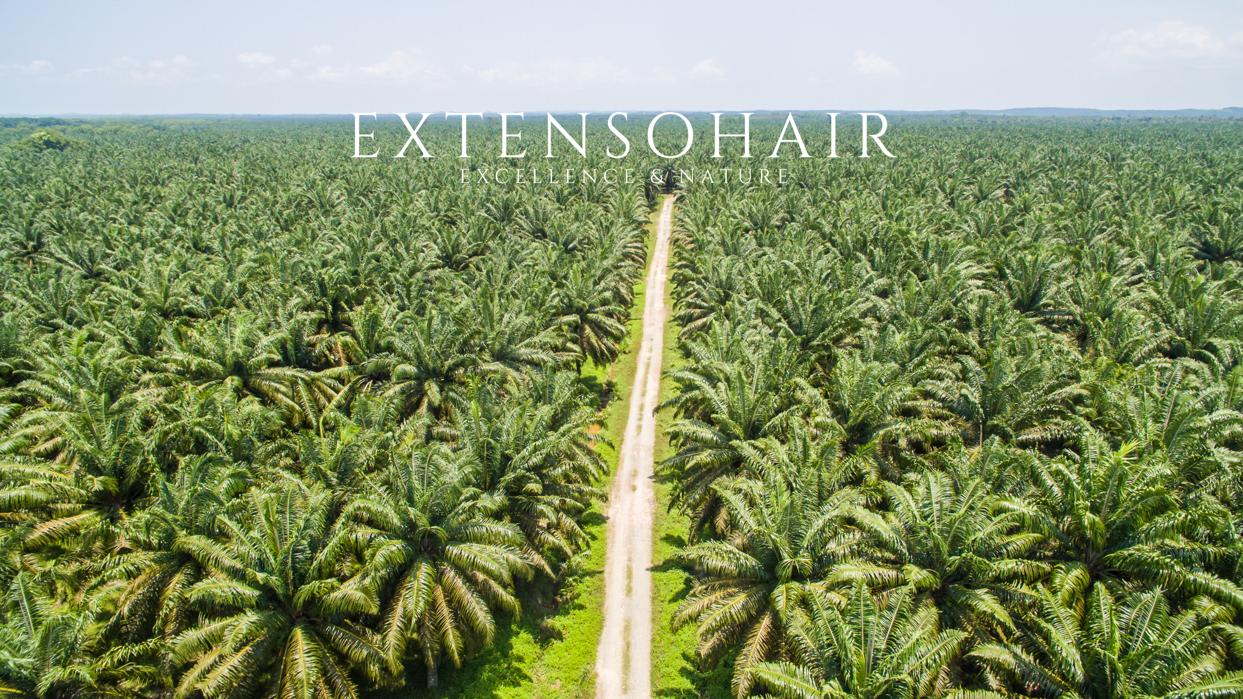 Alpha Tanin ExtensoHair nouveau produit lissage naturel