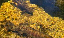 Défendre la cause de l'eau potable