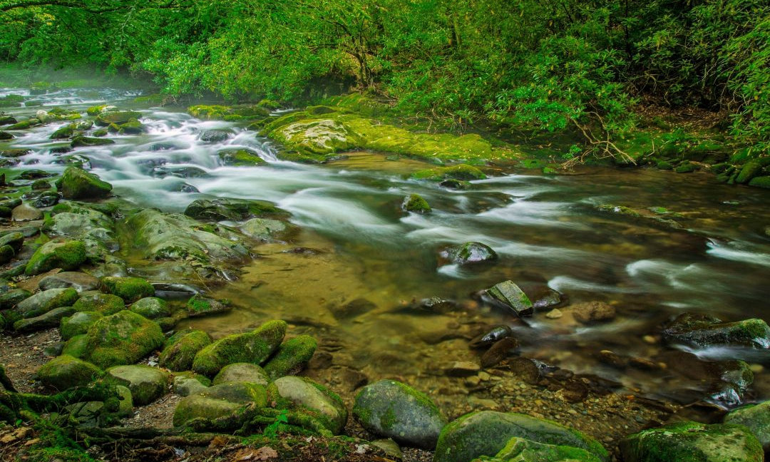 Contre la règle de l'eau potable - Ce que les gens disent